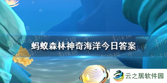万岁大眼蟹之所以得名主要是因为  神奇海洋1月6日答案